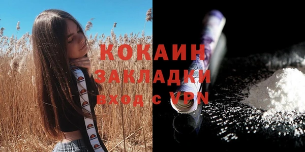 крисы Вяземский